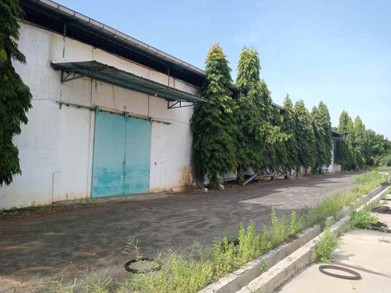 disewakan gudang di tuban