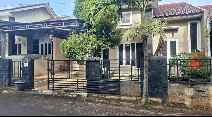 disewakan rumah bulusan