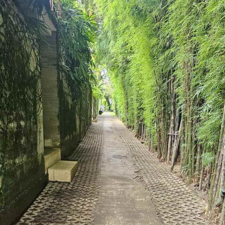 disewakan tanah buluh indah