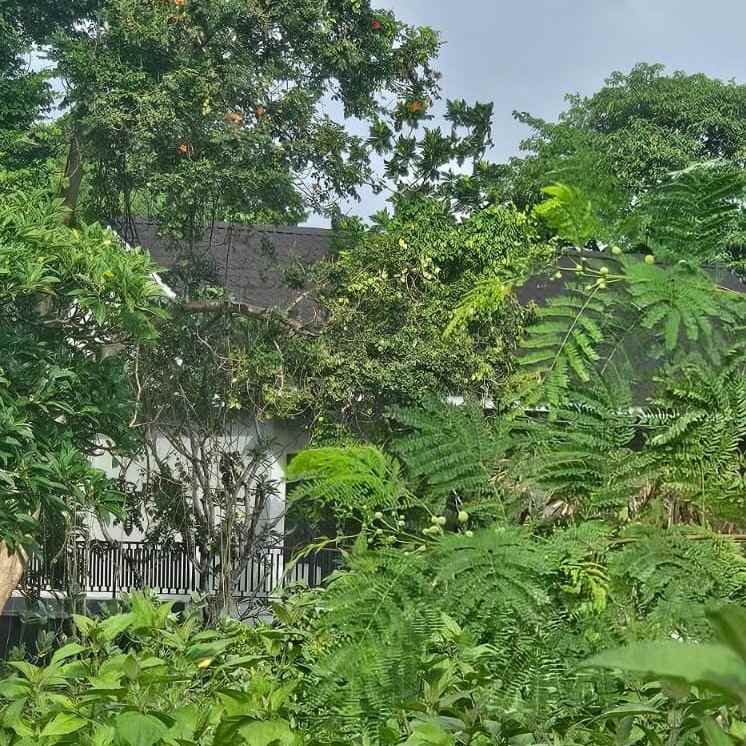 disewakan tanah buluh indah