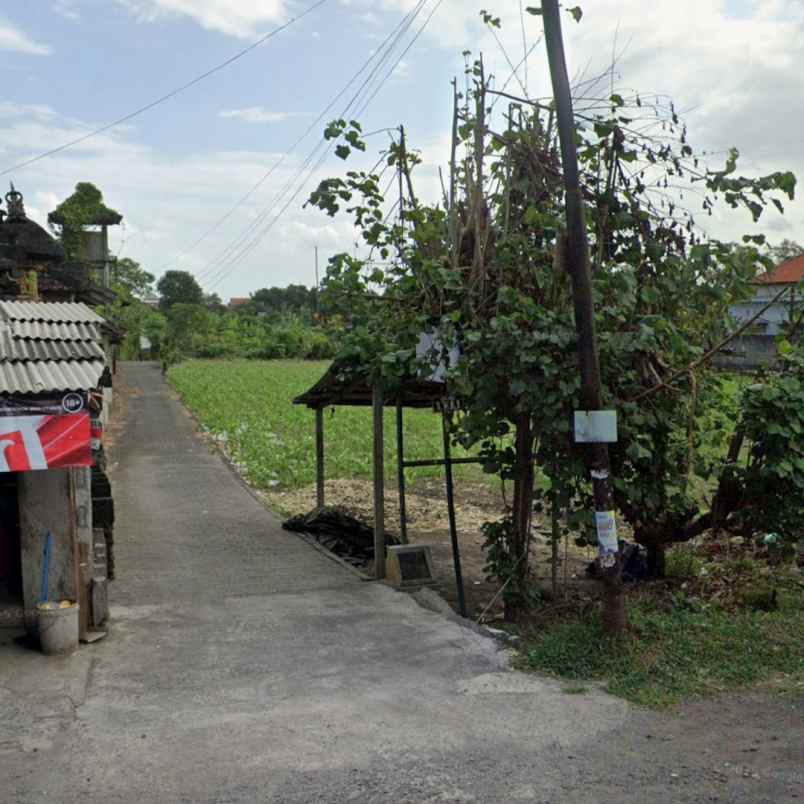 disewakan tanah kesiman petilan