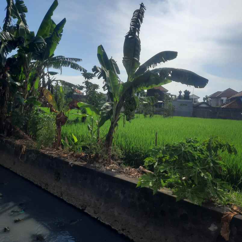 disewakan tanah tukad bilok