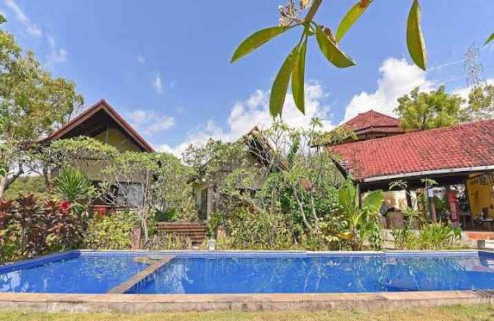 hotel iyo lovina eco lodge