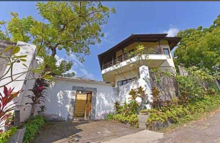 hotel iyo lovina eco lodge