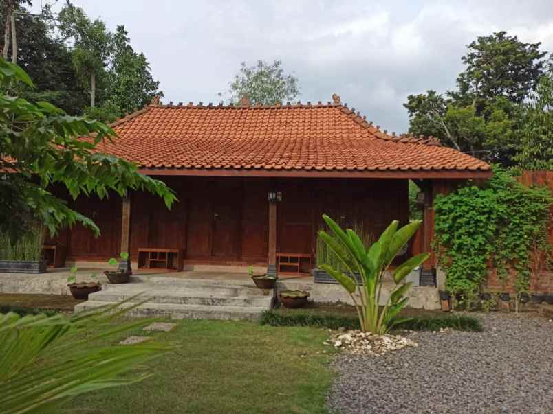 investasi murah villa joglo luas di gunung kidul