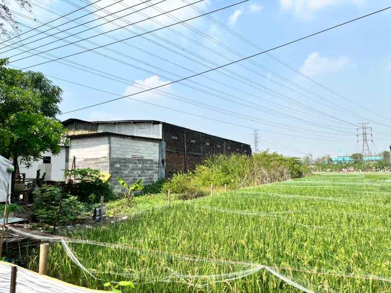 jual gudang siap pakai di daerah lakarsantri surabaya