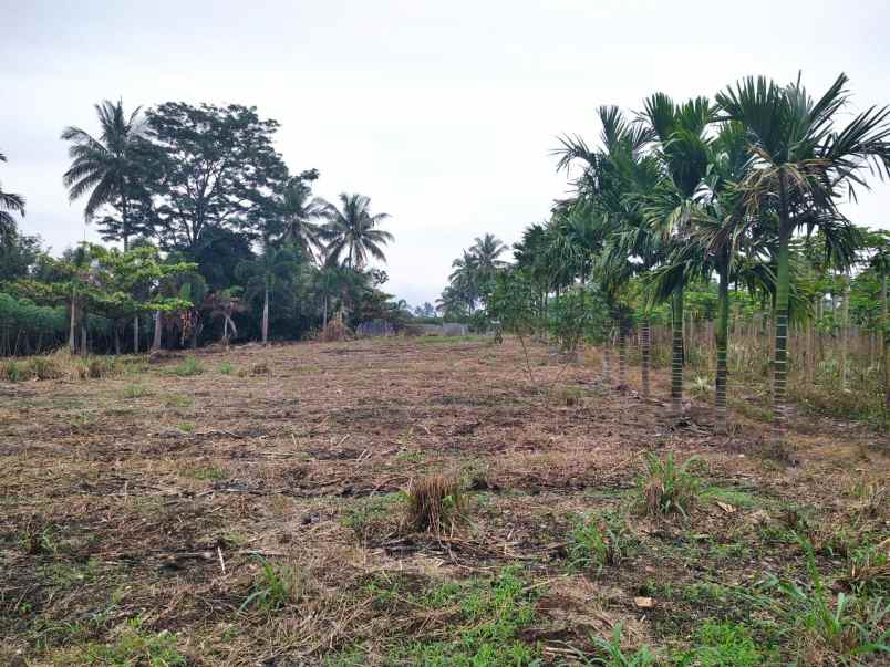 jual tanah cocok untuk developer