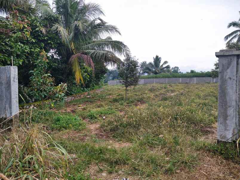 jual tanah cocok untuk developer