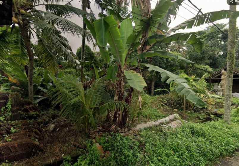 jual tanah view di mas ubud bali