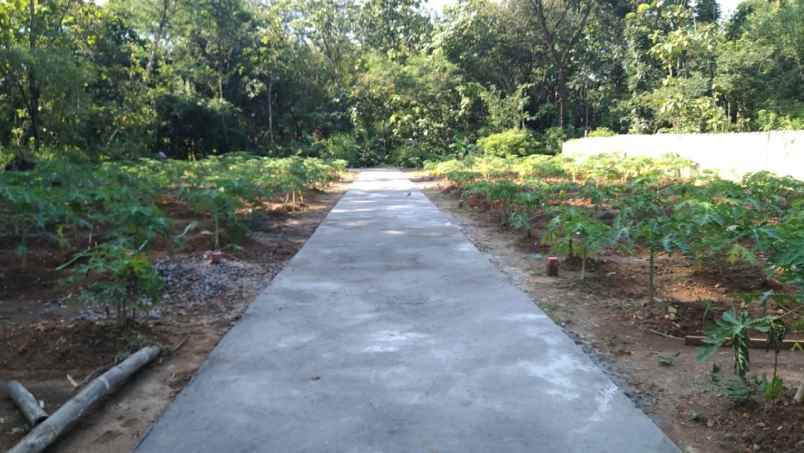 kavling murah di kalioso gondangrejo karanganyar