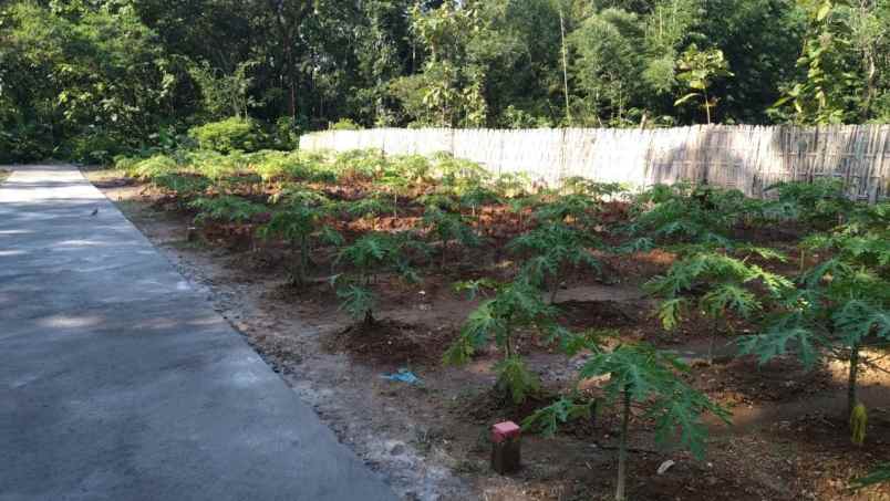 kavling murah di kalioso gondangrejo karanganyar