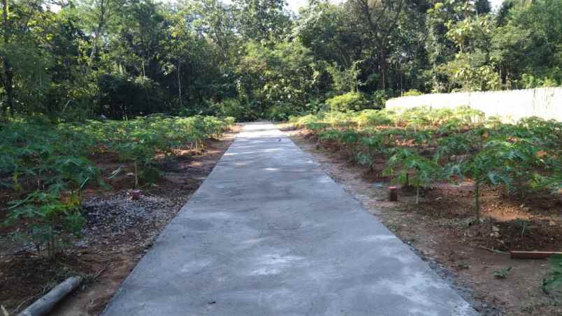 kavling murah di kalioso gondangrejo karanganyar