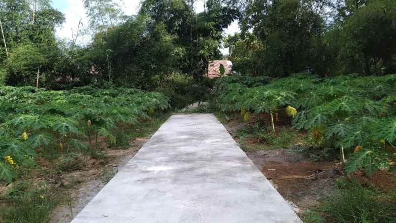 kavling murah di kalioso gondangrejo karanganyar