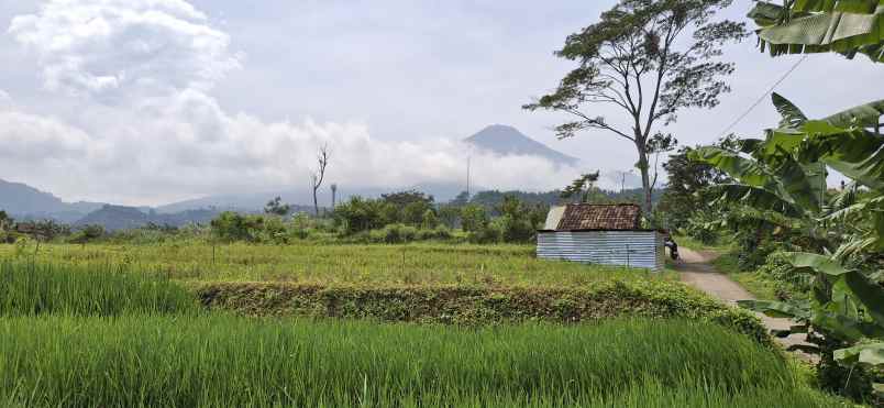 lahan villa pacet besar harga murah luasan besar