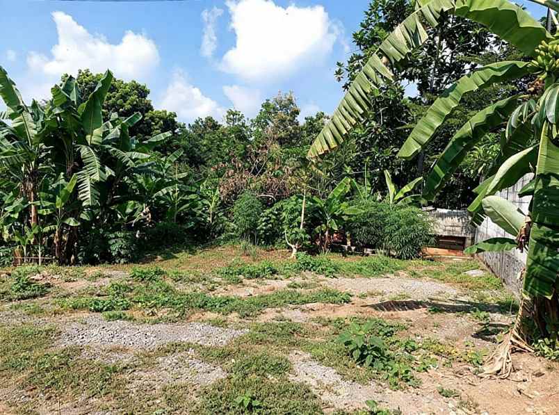 rumah dekat undip semarang