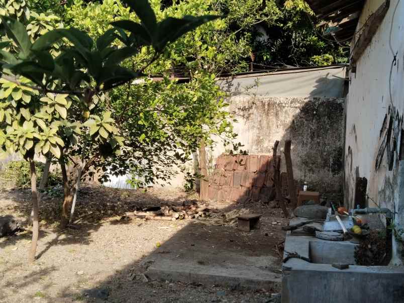 rumah dijual area situbondo