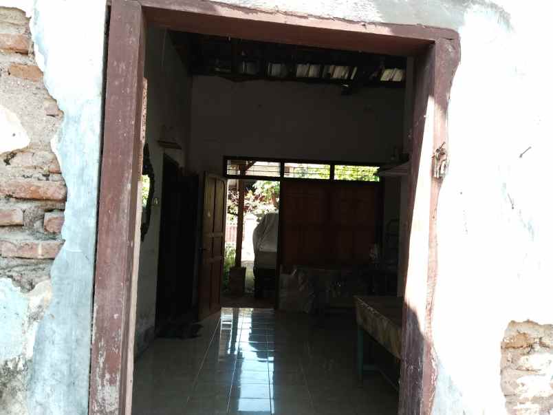 rumah dijual area situbondo