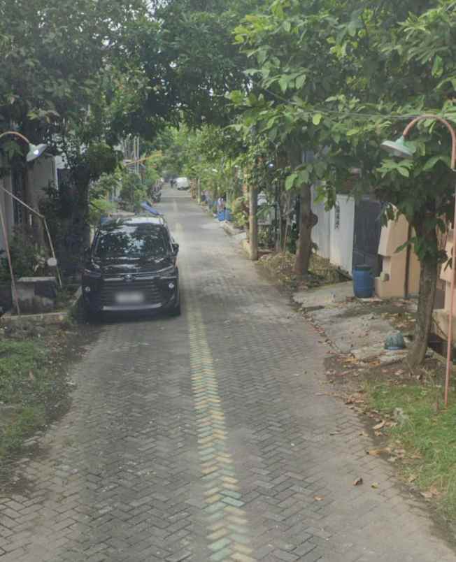 rumah klipang tembalang semarang