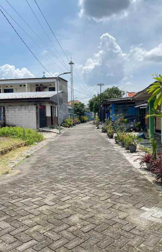 rumah kost produktif 3 lantai sambikerep surabaya