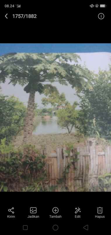 sawah ada kolam pinggir jalan utama