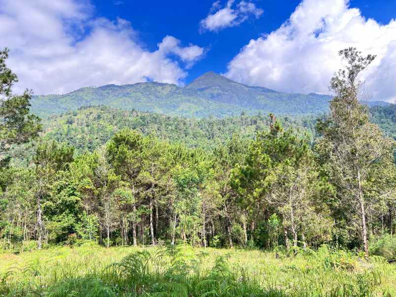 tanah 4 hektar siap bangun wahana wisata karanganyar