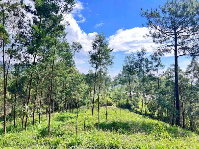 tanah 4 hektar siap bangun wahana wisata karanganyar