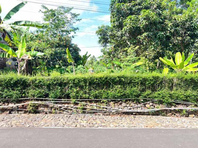 tanah 800m cocok untuk rumah tinggal karanganyar