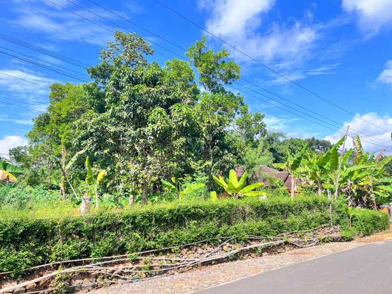 tanah 800m cocok untuk rumah tinggal karanganyar