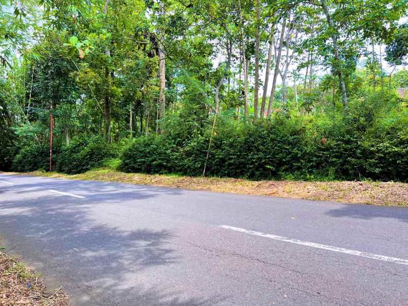 tanah 800m2 tepi jl raya karangpandan karanganyar