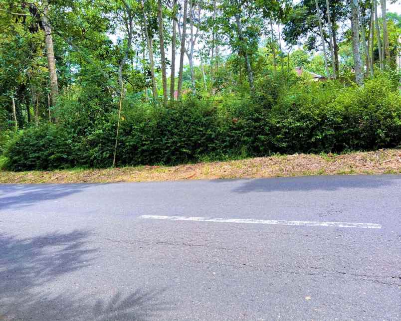 tanah 800m2 tepi jl raya karangpandan karanganyar