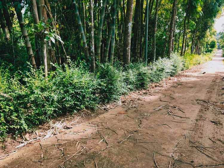 tanah batujamus mojogedang