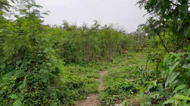 tanah cibitung bekasi jawa barat