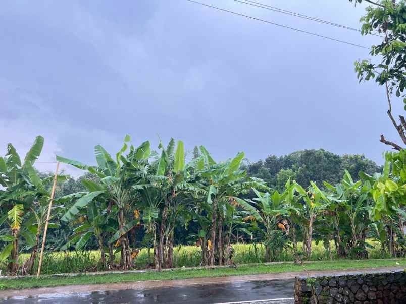 tanah datar 2885m2 siap bangun barat pasar mojogedang