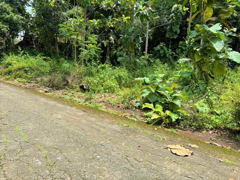 tanah datar cocok buat villa karangpandan karanganyar