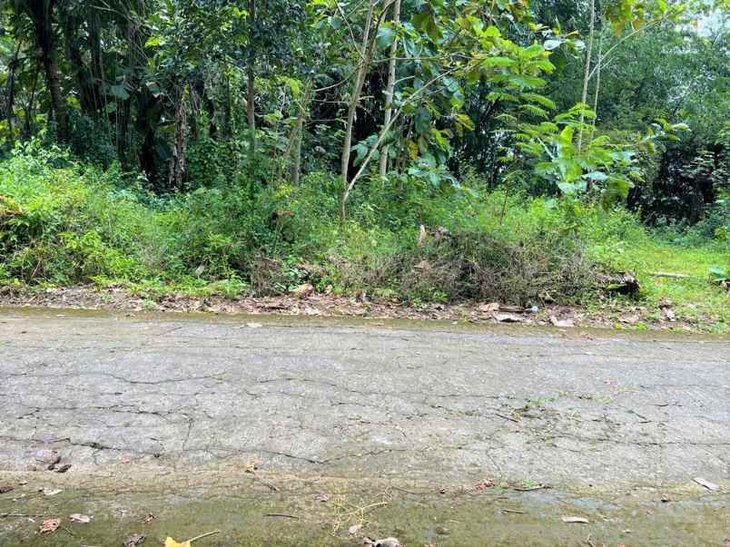 tanah datar cocok buat villa karangpandan karanganyar