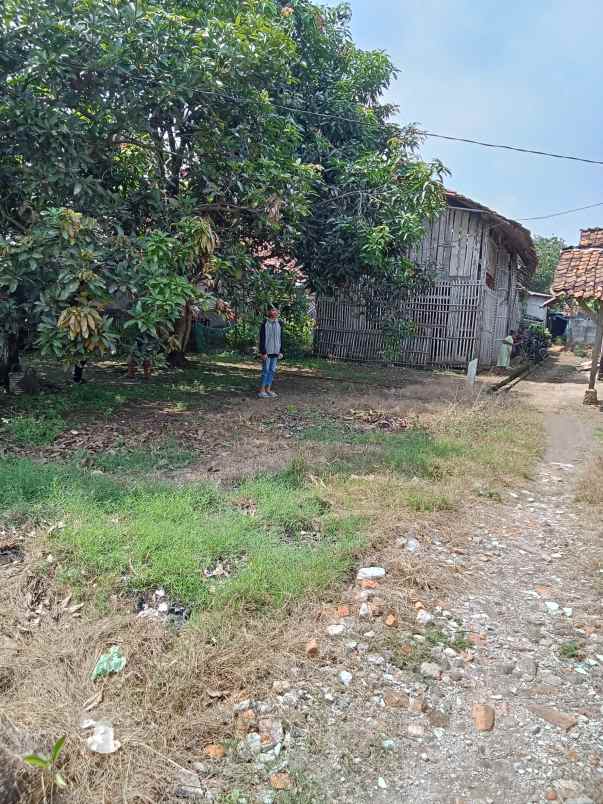 tanah dijual di jalan pantura karawang