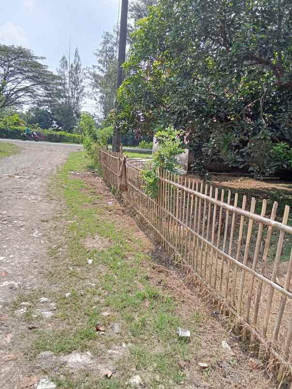 tanah dijual di jalan pantura karawang