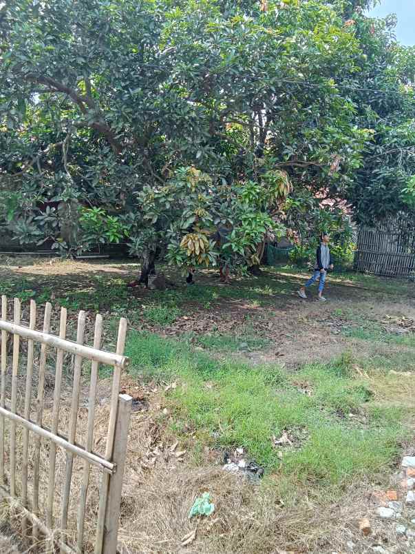 tanah dijual di jalan pantura karawang