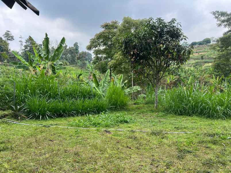 tanah dijual kemuning karanganyar 500m