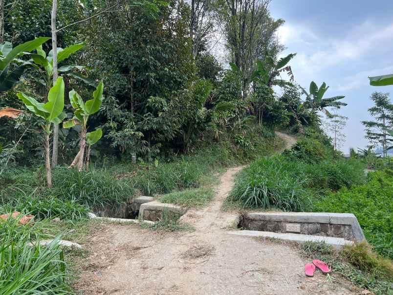 tanah investasi 3280m jenawi karanganyar
