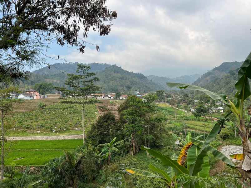 tanah investasi 3280m jenawi karanganyar