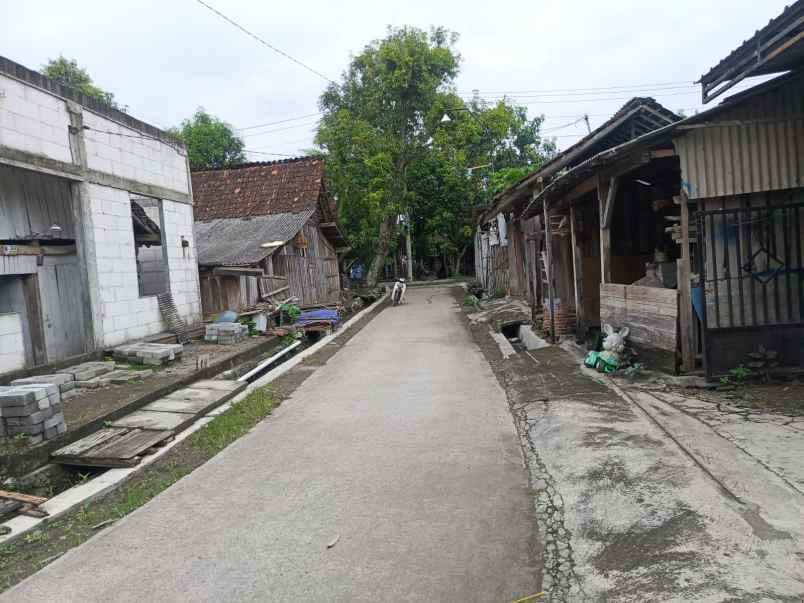 tanah jatikusuman mranggen demak