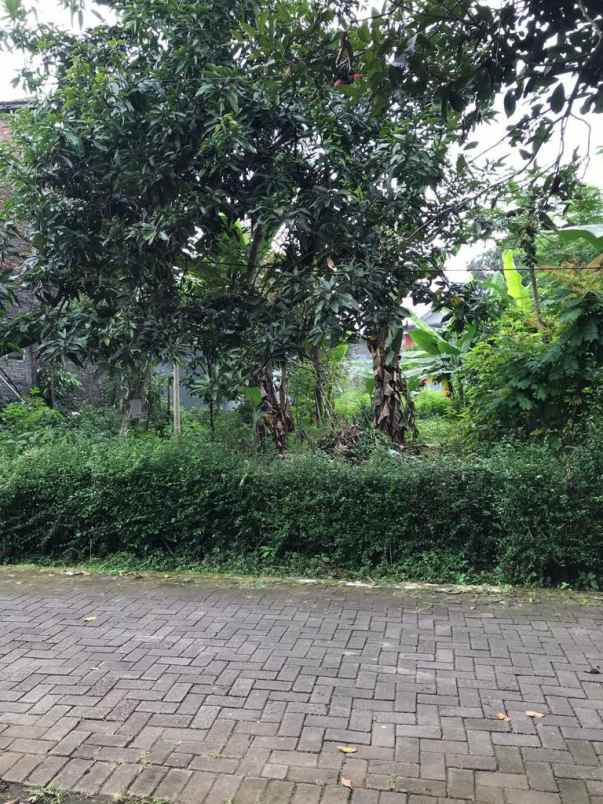 tanah jl durian banyumanik semarang