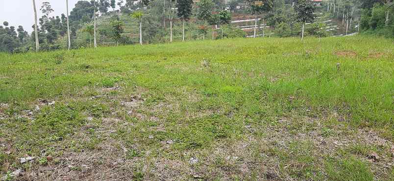 tanah jlan dago giri