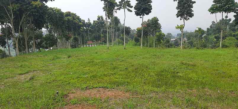 tanah jlan dago giri