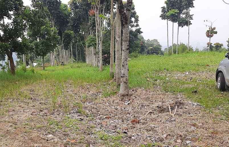 tanah jlan dago giri