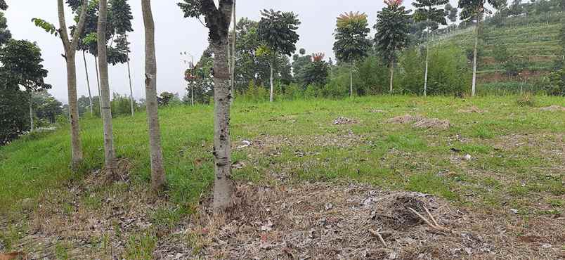 tanah jlan dago giri