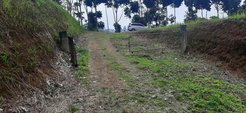 tanah jlan dago giri