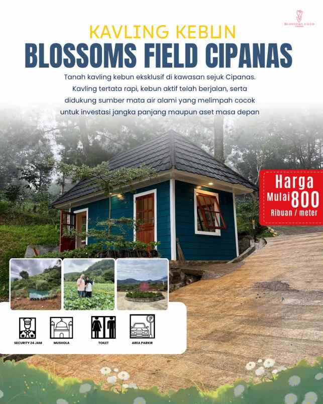 tanah kavling kebun di sukaresmi cianjur