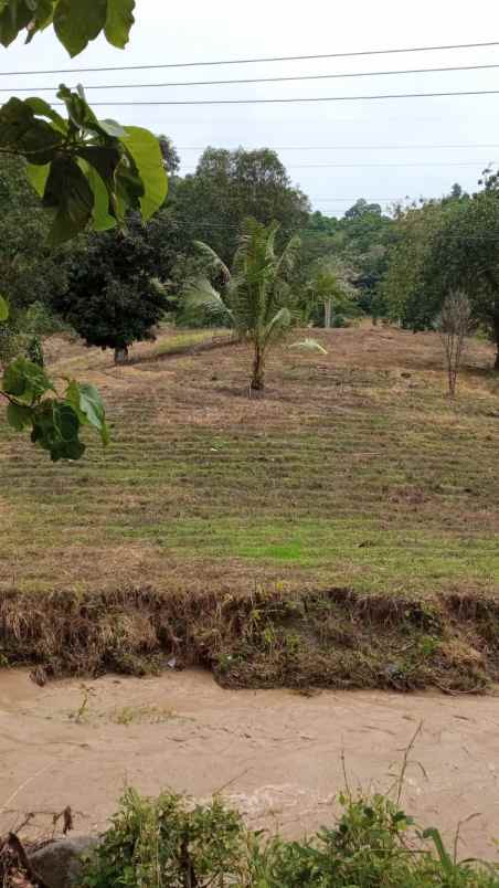 tanah kebun di jl raya trans sulawesi